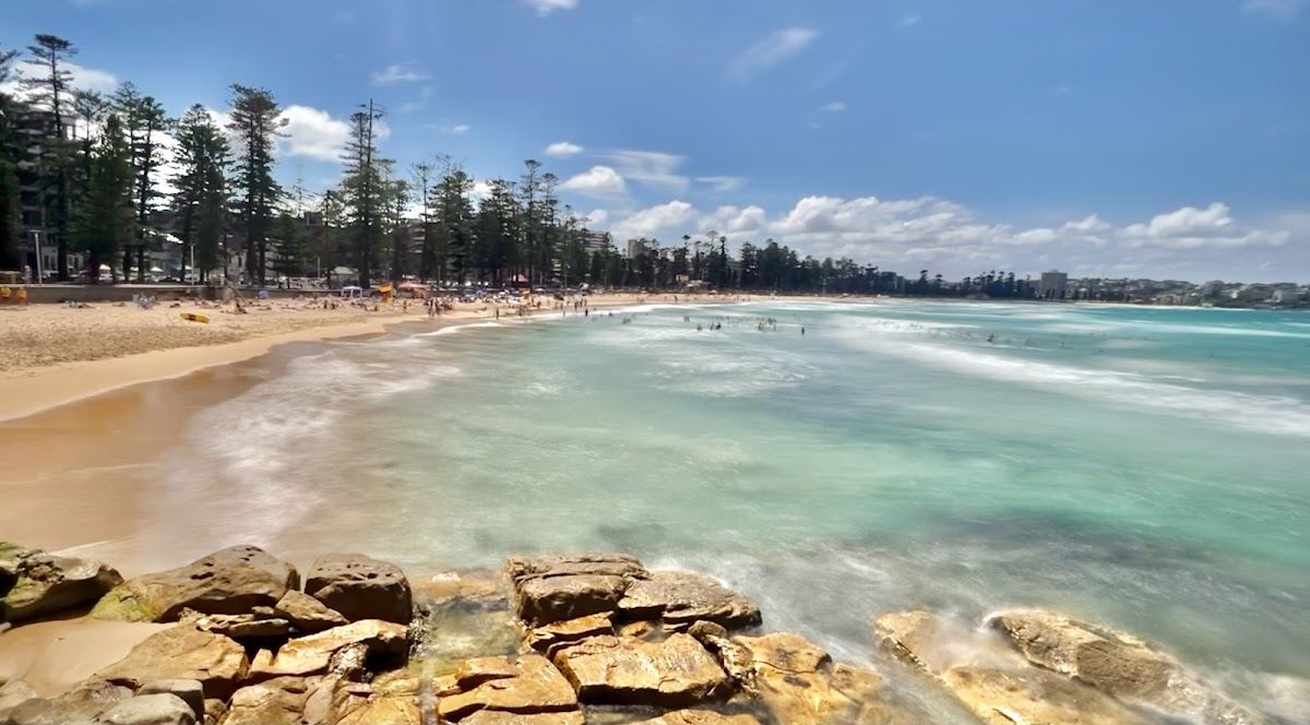 The long ocean front and Norfolk pines of Manly Beach in Sydney