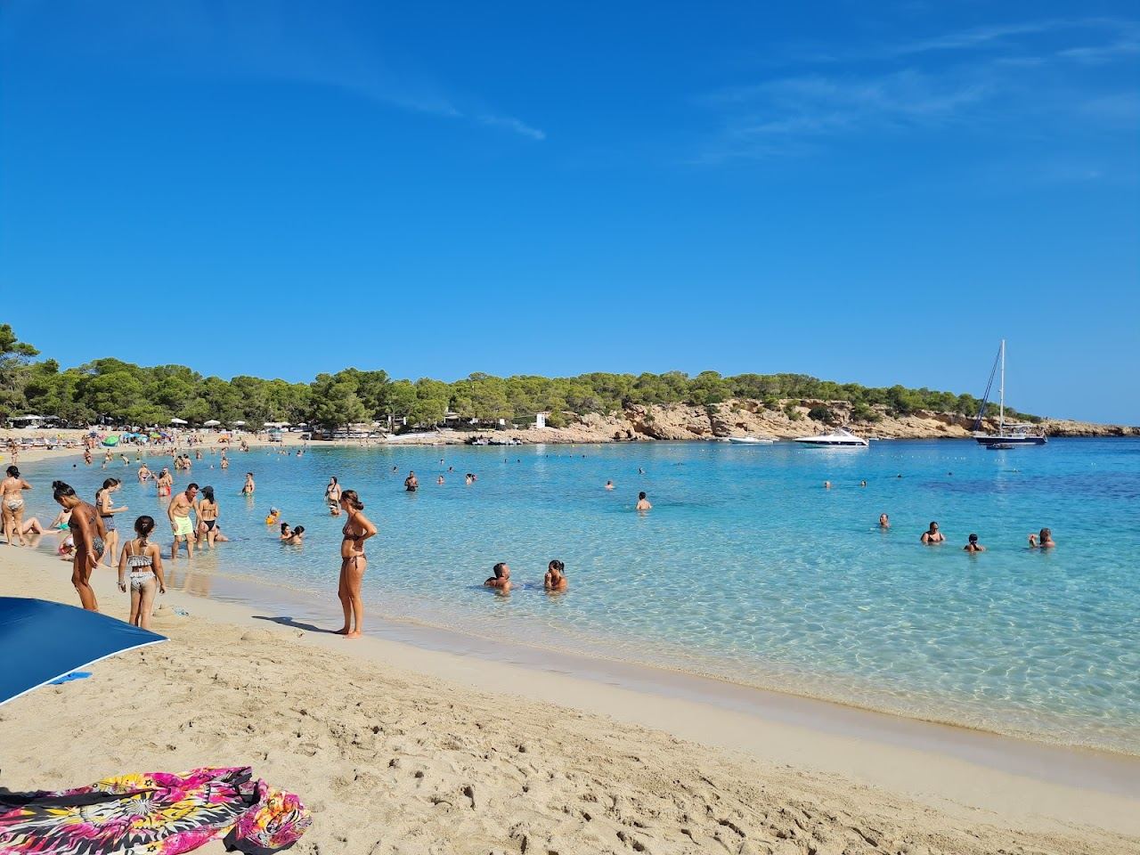The pine backed turquoise water of Cala Bassa on Ibiza