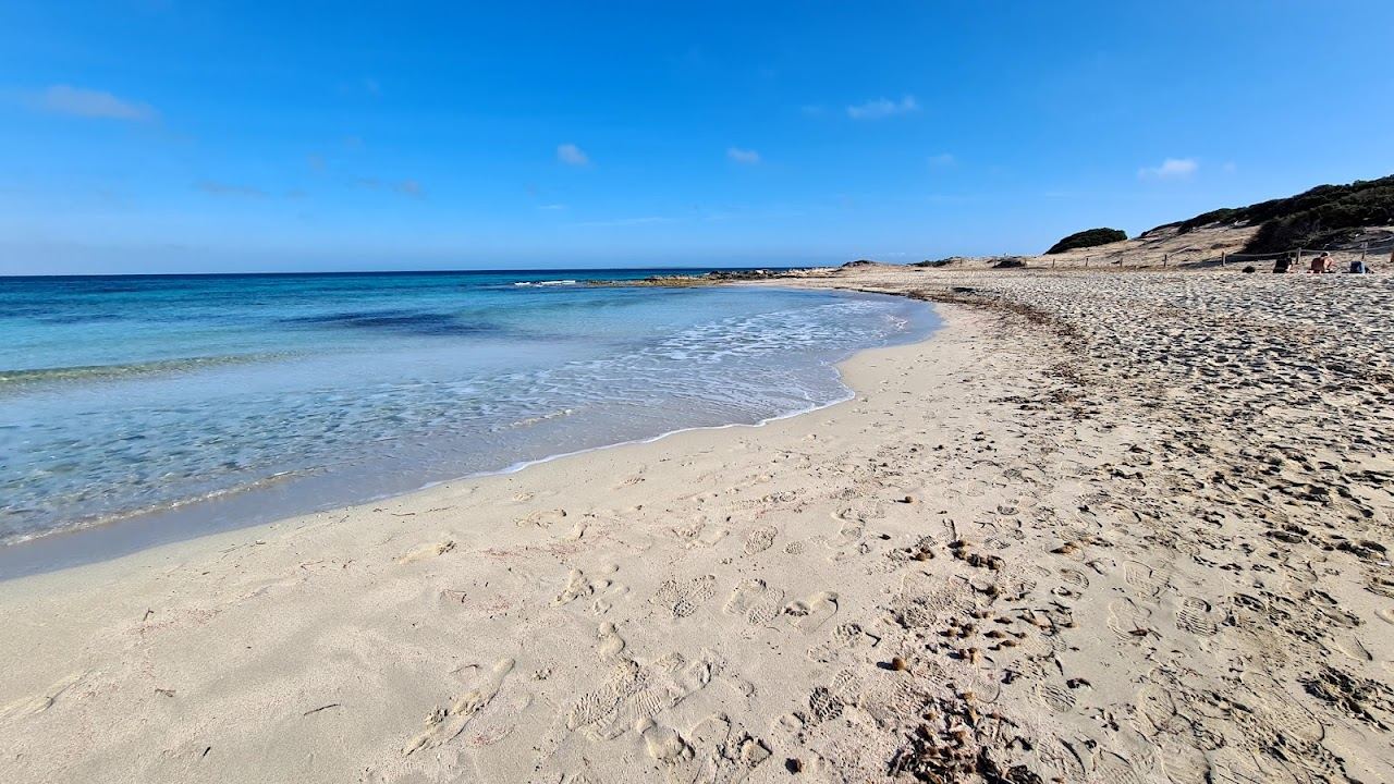 Dunes and calm clear water at Es Cavallet beach on Ibiza