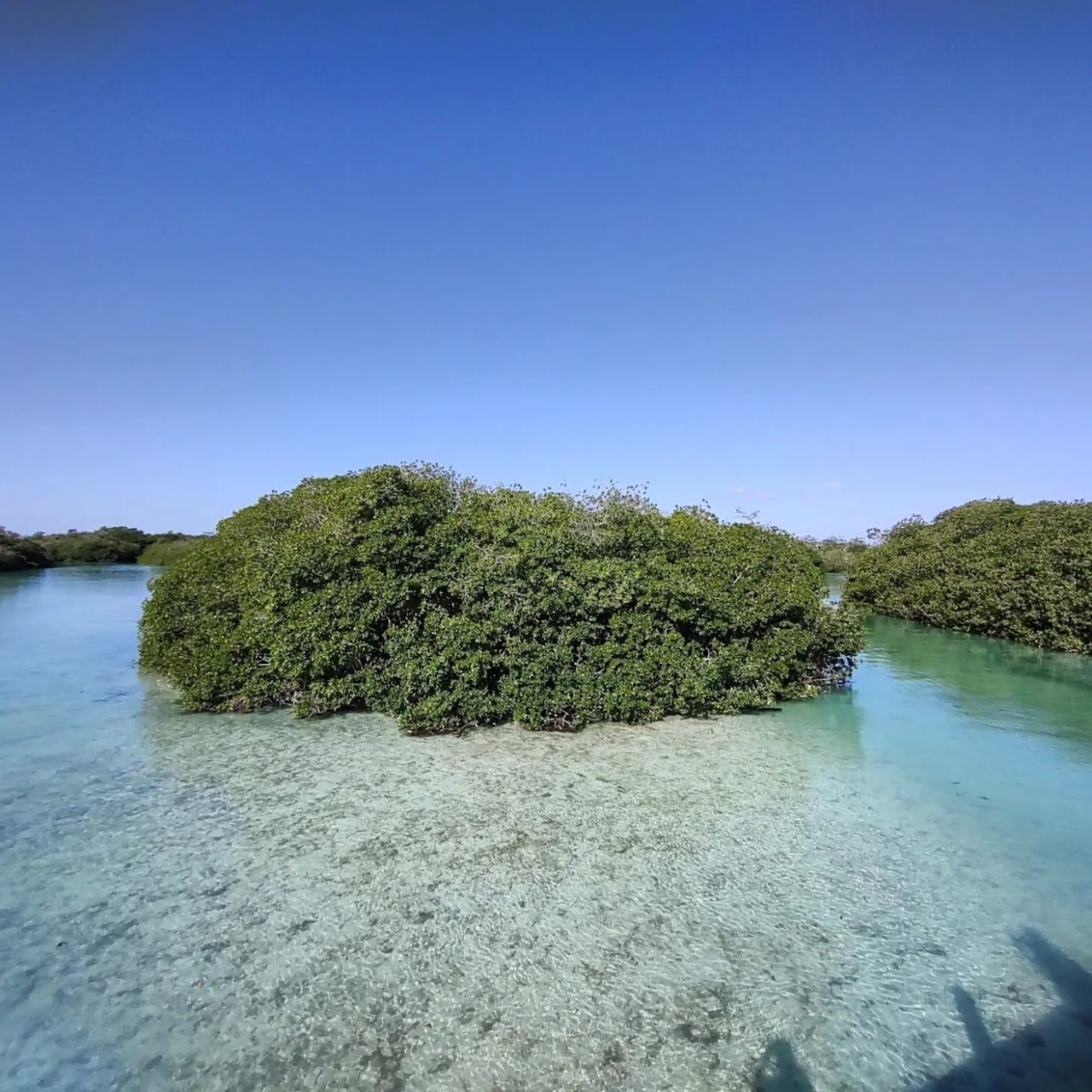 Boca Paila, Tulum