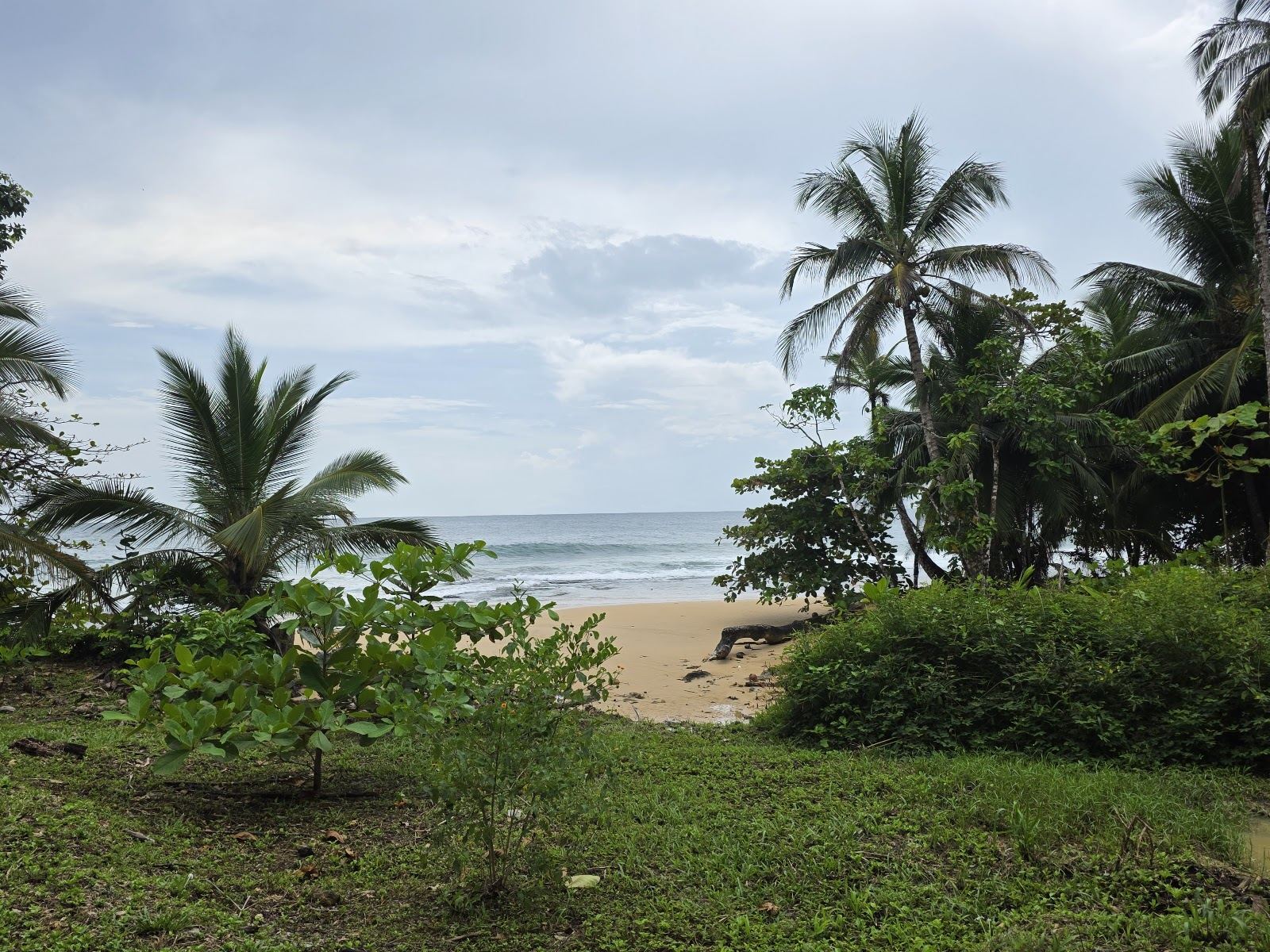 Bluff Beach, Bocas del Toro