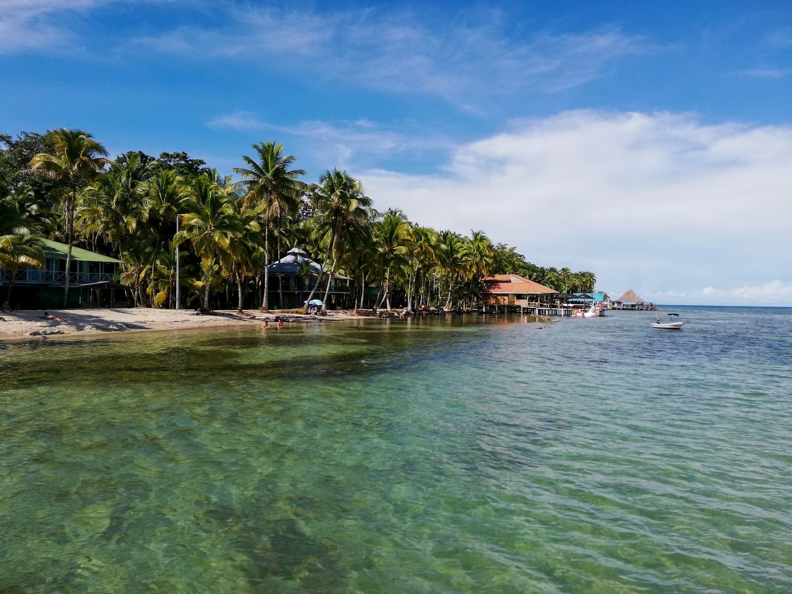 The calm waterfront shore of Isla Carenero looking across the channel to Bocas Town in Bocas del Toro