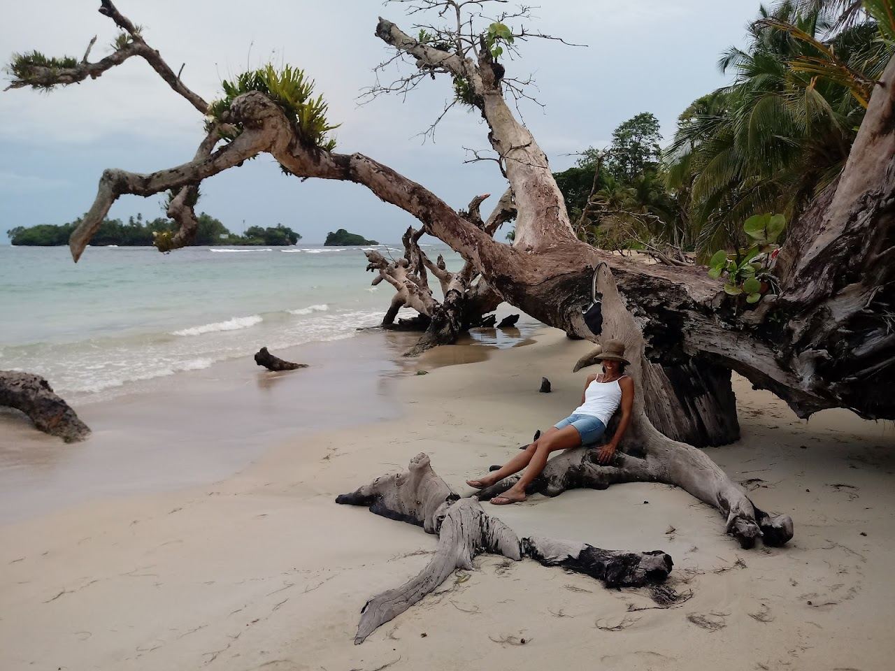 Jungle backed turquoise water at Red Frog Beach in the Bocas del Toro archipelago Panama