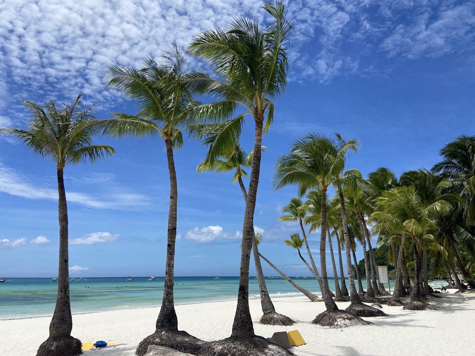 Powder white sand and clear shallow water along the palm backed shore of White Beach in Boracay