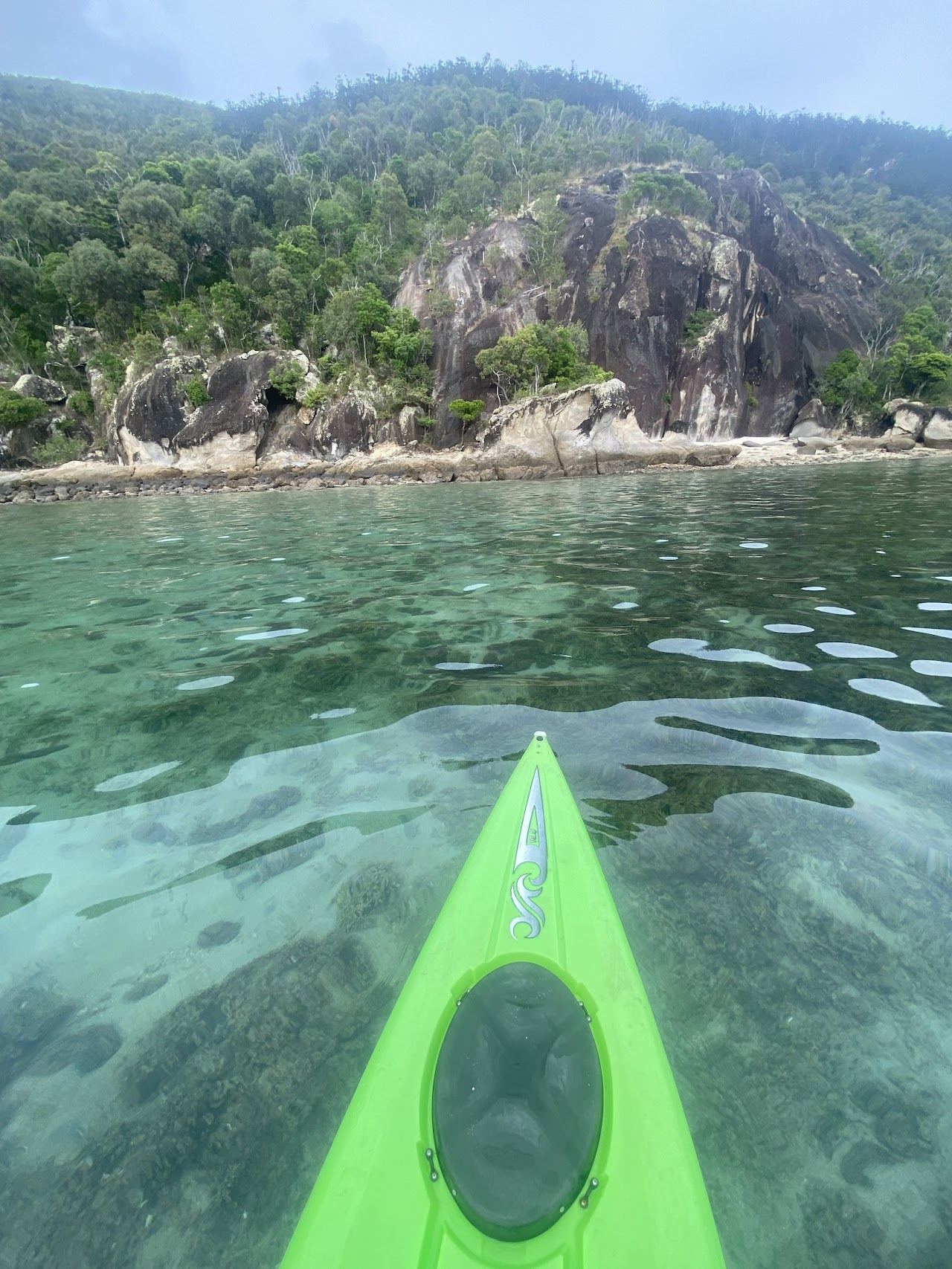 Sheltered green slopes and clear water at Butterfly Bay on Hook Island in the Whitsundays