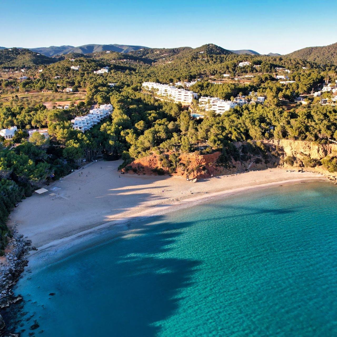 Clear shallow water over a sandy floor backed by pines at Cala Llenya in Ibiza
