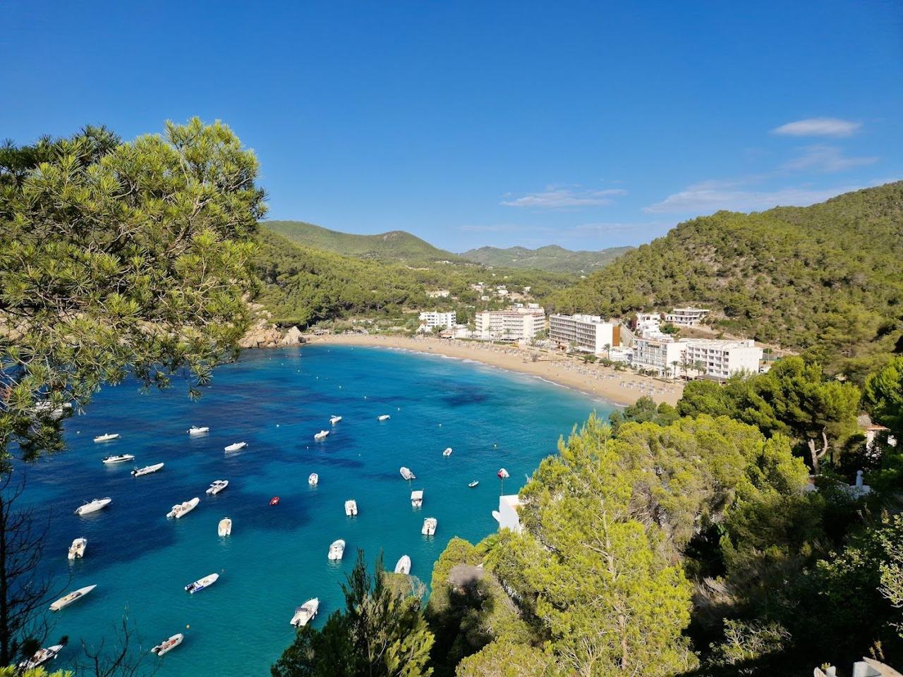 The wide golden sand and calm sheltered water of Cala San Vicente backed by green hills in northeast Ibiza