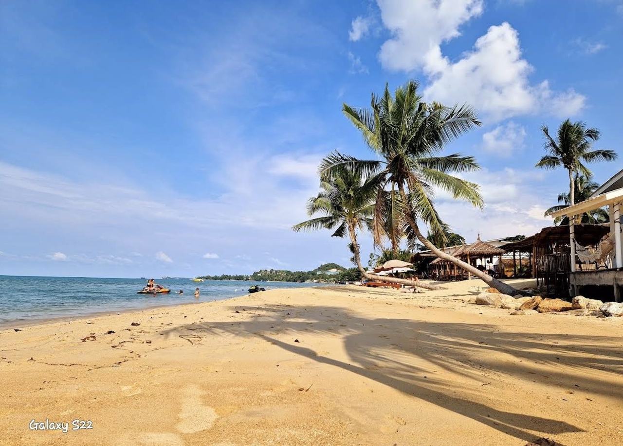 A quiet palm backed beach on the calmer north of Koh Samui in Thailand