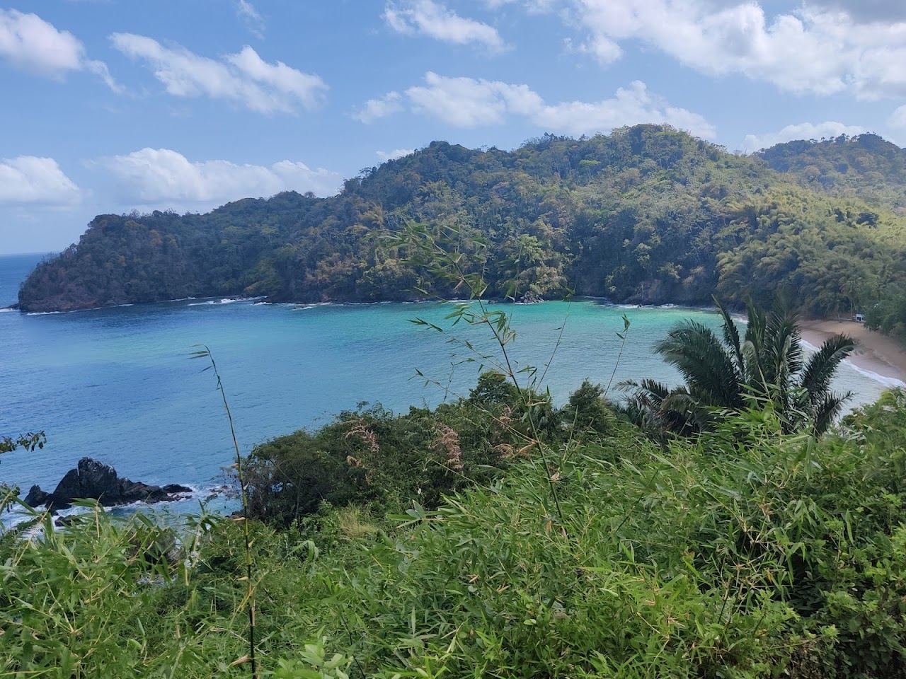 Wild forest backed crescent and clear water at Englishmans Bay used for the Tobago couples guide on Beaches for Kings