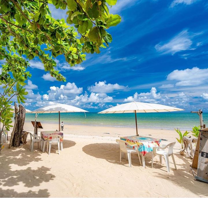 The casuarina shaded sand and calm season water of Nai Yang on Phuket