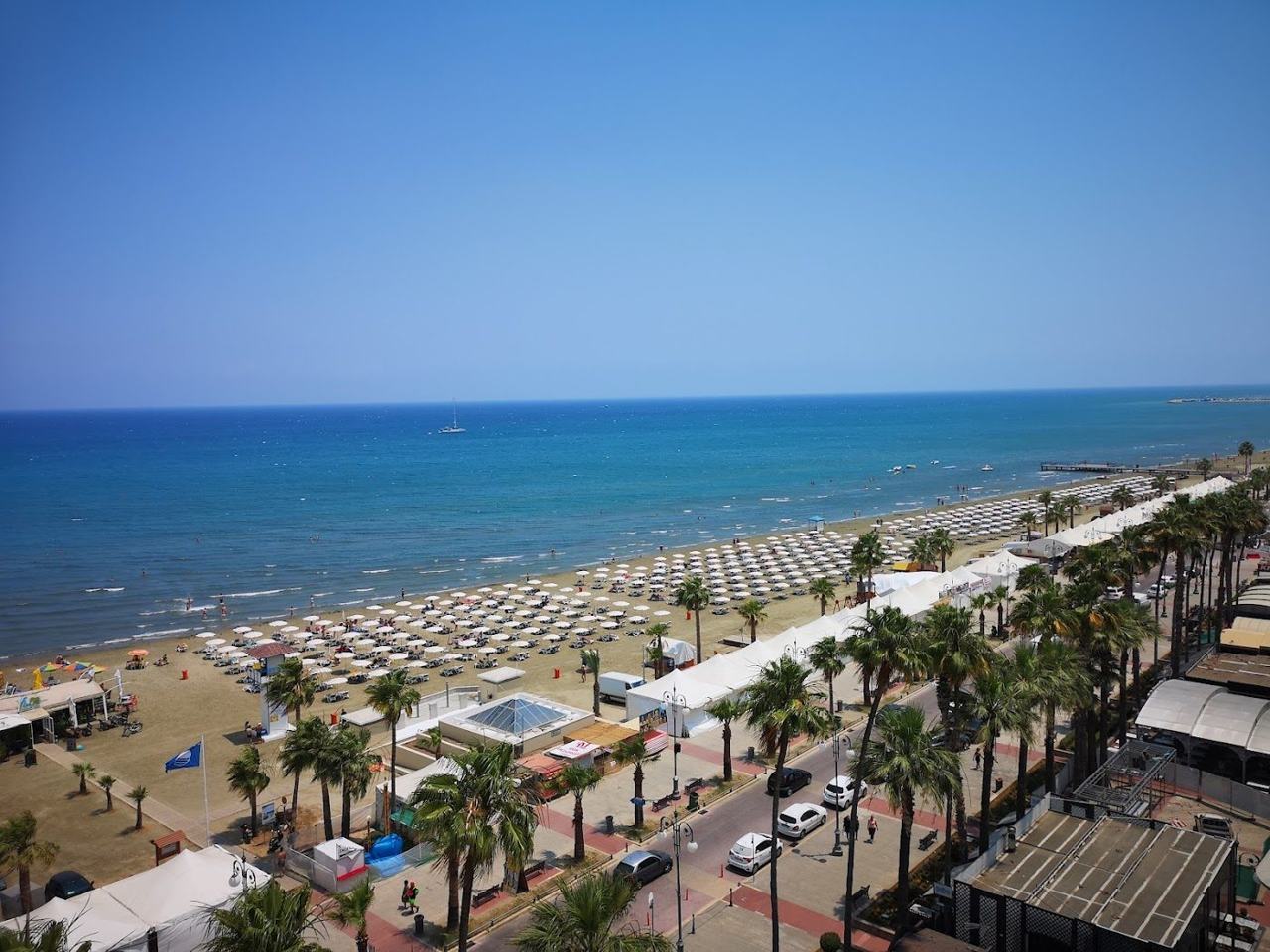 Town sand beach with sunbeds backed by a palm lined promenade and cafes at Finikoudes in Larnaca Cyprus