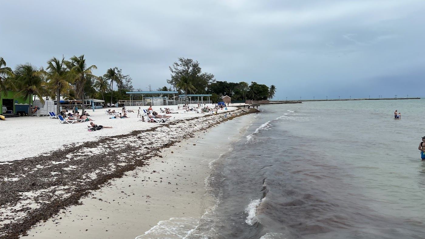 Palms and calm shallow water at Higgs Beach in Key West in the Florida Keys