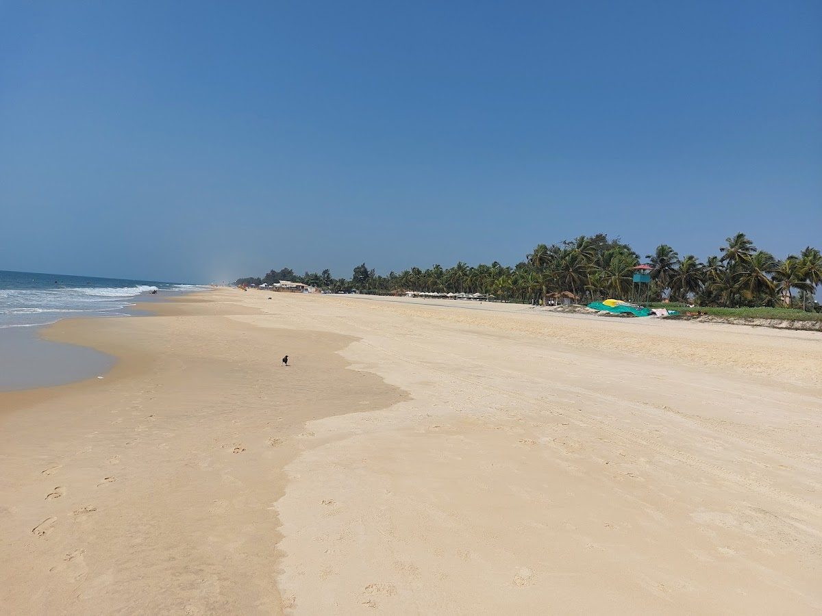 Wide empty stretch of pale sand backed by palms at Cavelossim in South Goa