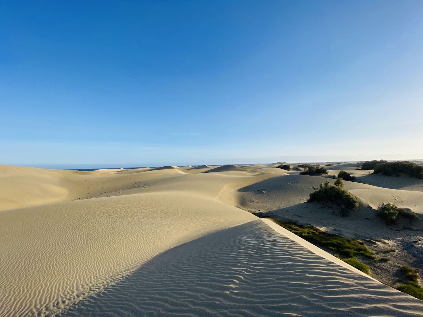 Golden dunes meeting the sea at Maspalomas in southern Gran Canaria