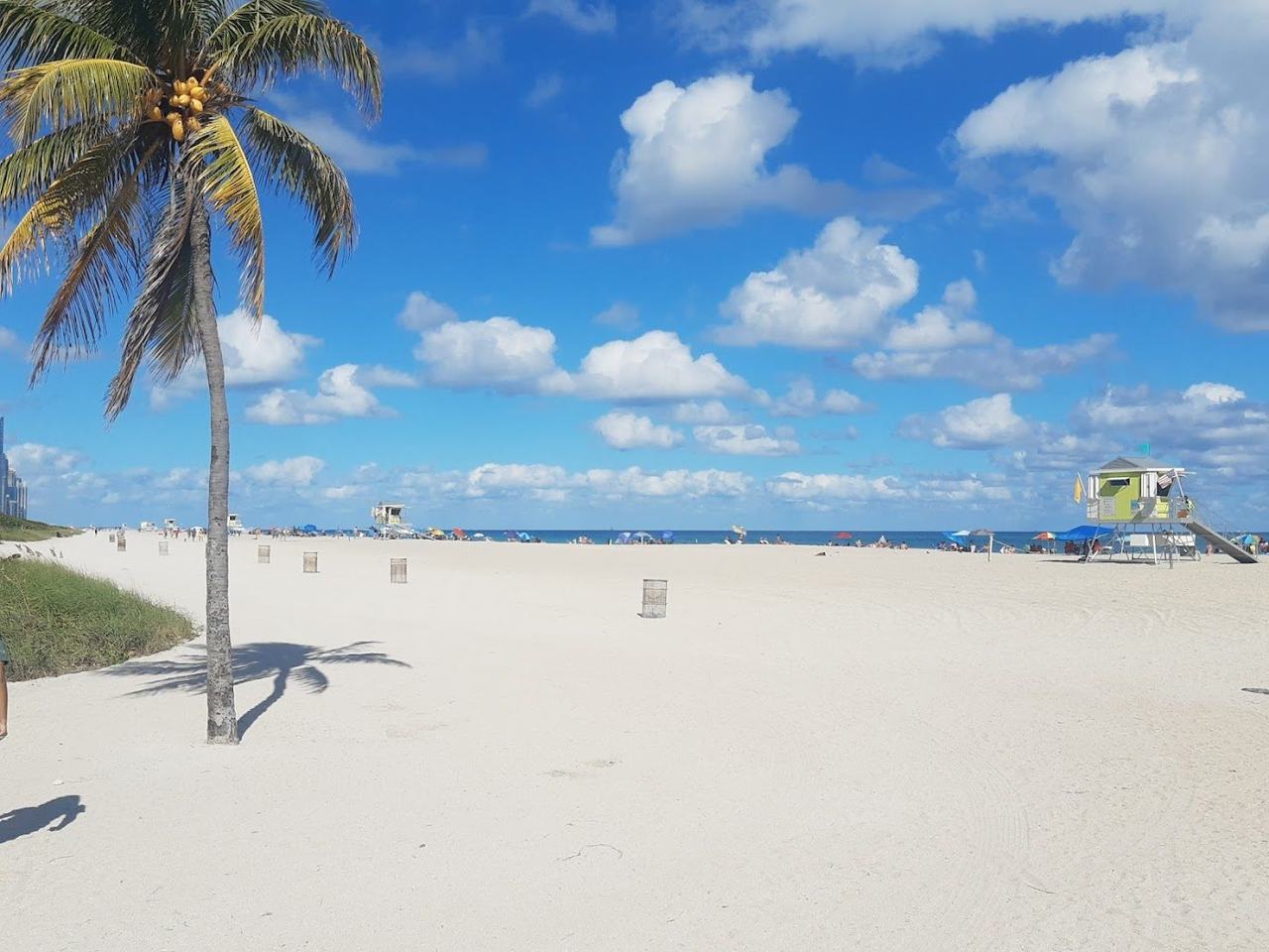 Haulover Beach Miami long natural sand and open Atlantic backed by dunes and sea grape in the county park