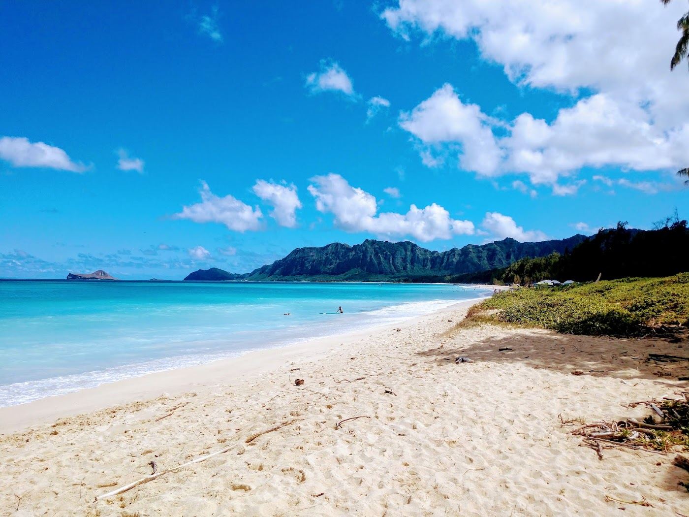 The fine soft sand and ironwood pines of Bellows Beach on the windward coast of Oahu