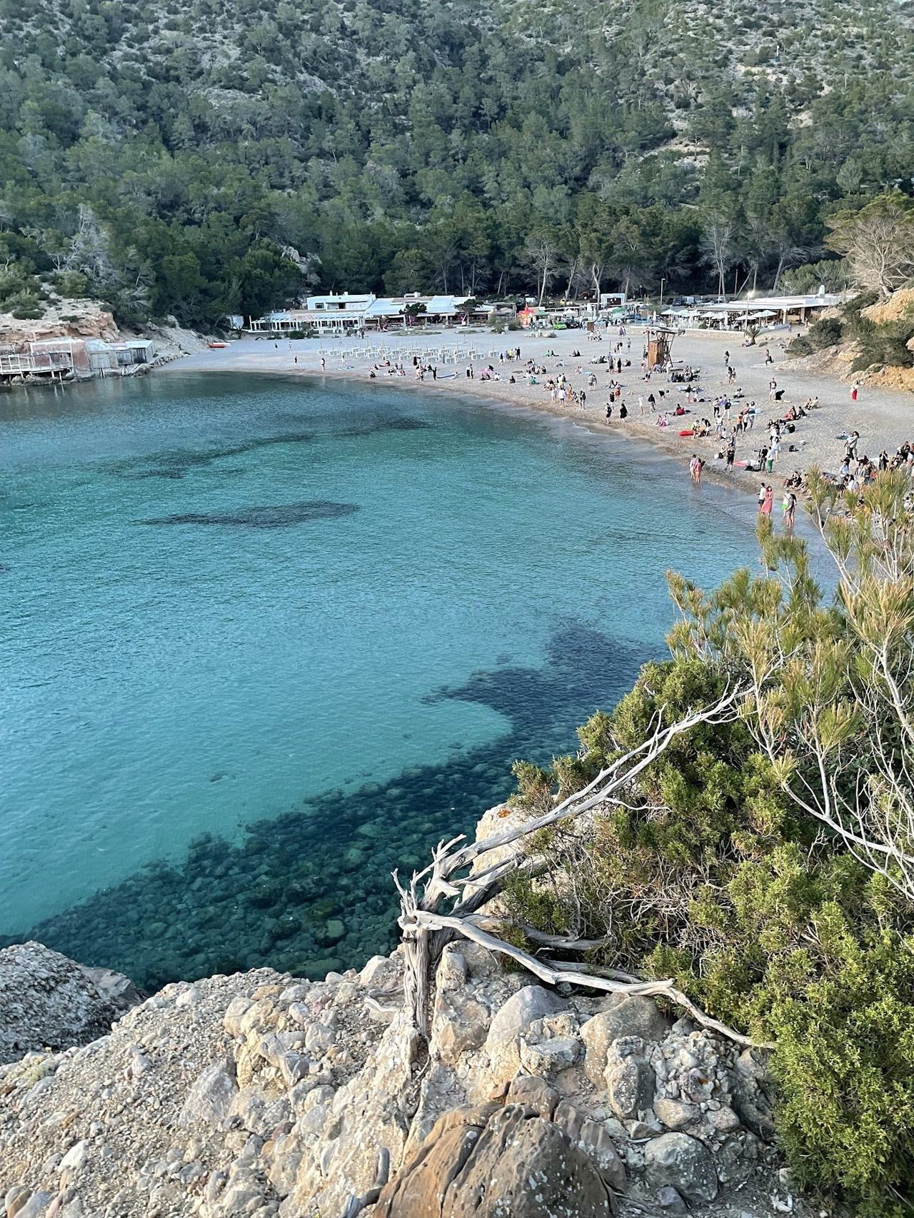 Pine fringed cove at Benirras on the north coast of Ibiza glowing at sunset