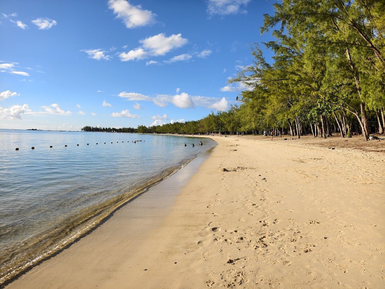 The long shaded crescent of casuarina trees and calm water at Mont Choisy on the north coast of Mauritius