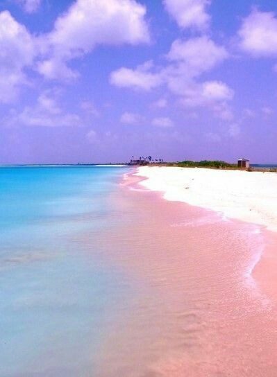 The soft pink tinged sand and clear water of Harbour Island in the Bahamas
