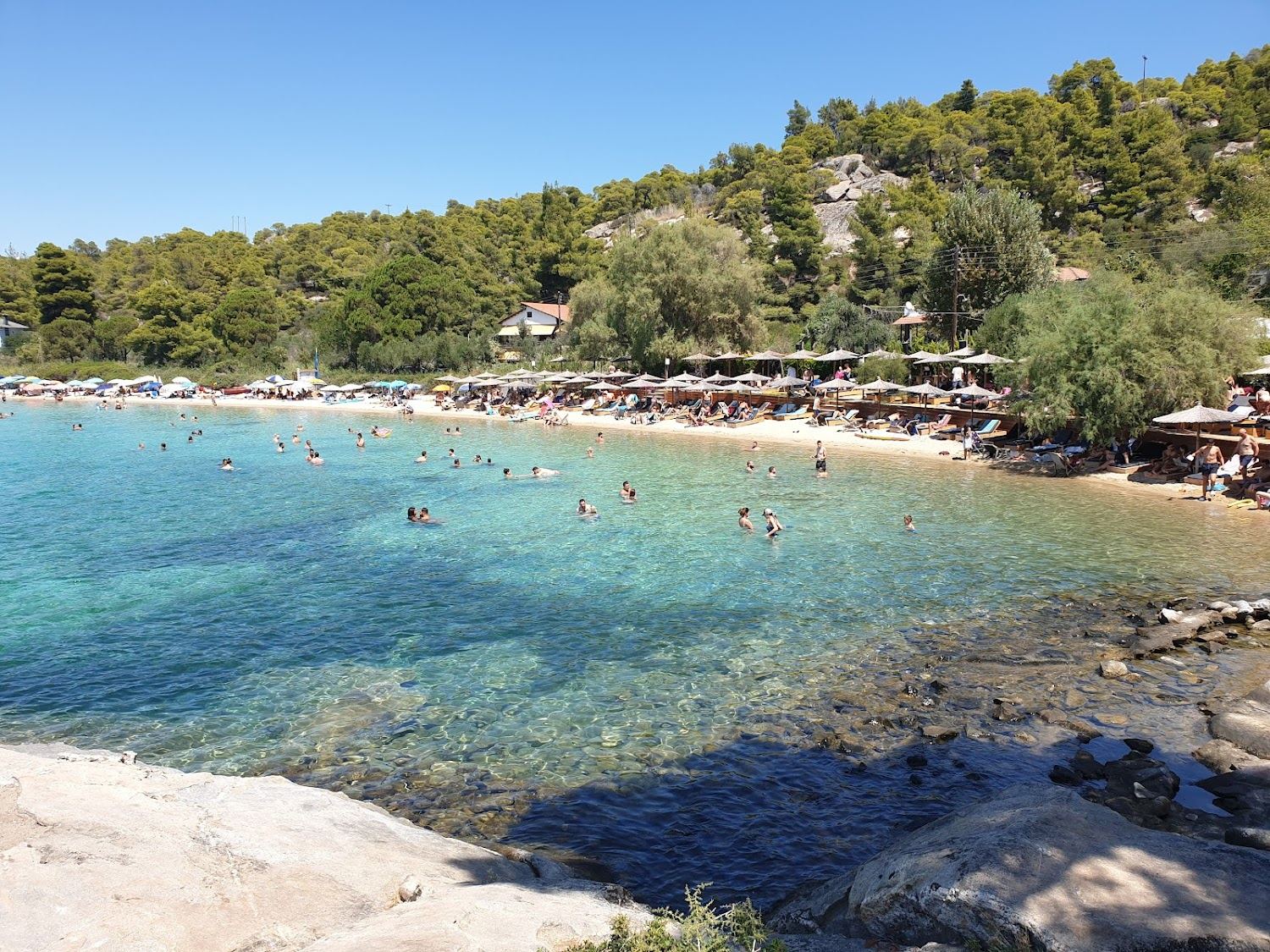 Soft golden sand and shallow turquoise water backed by low green hills at Kalogria beach near Nikiti on Sithonia in Halkidiki