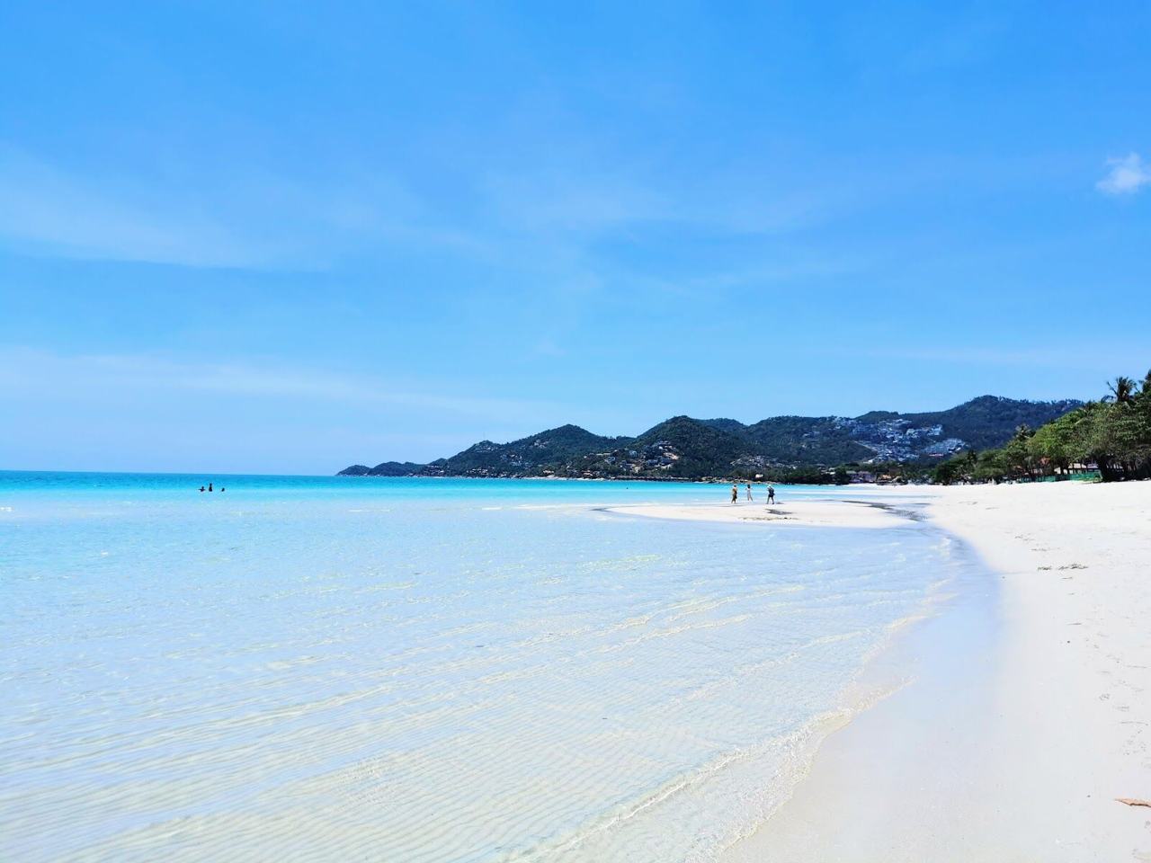 Soft white sand and palms on Chaweng Beach in Koh Samui Thailand