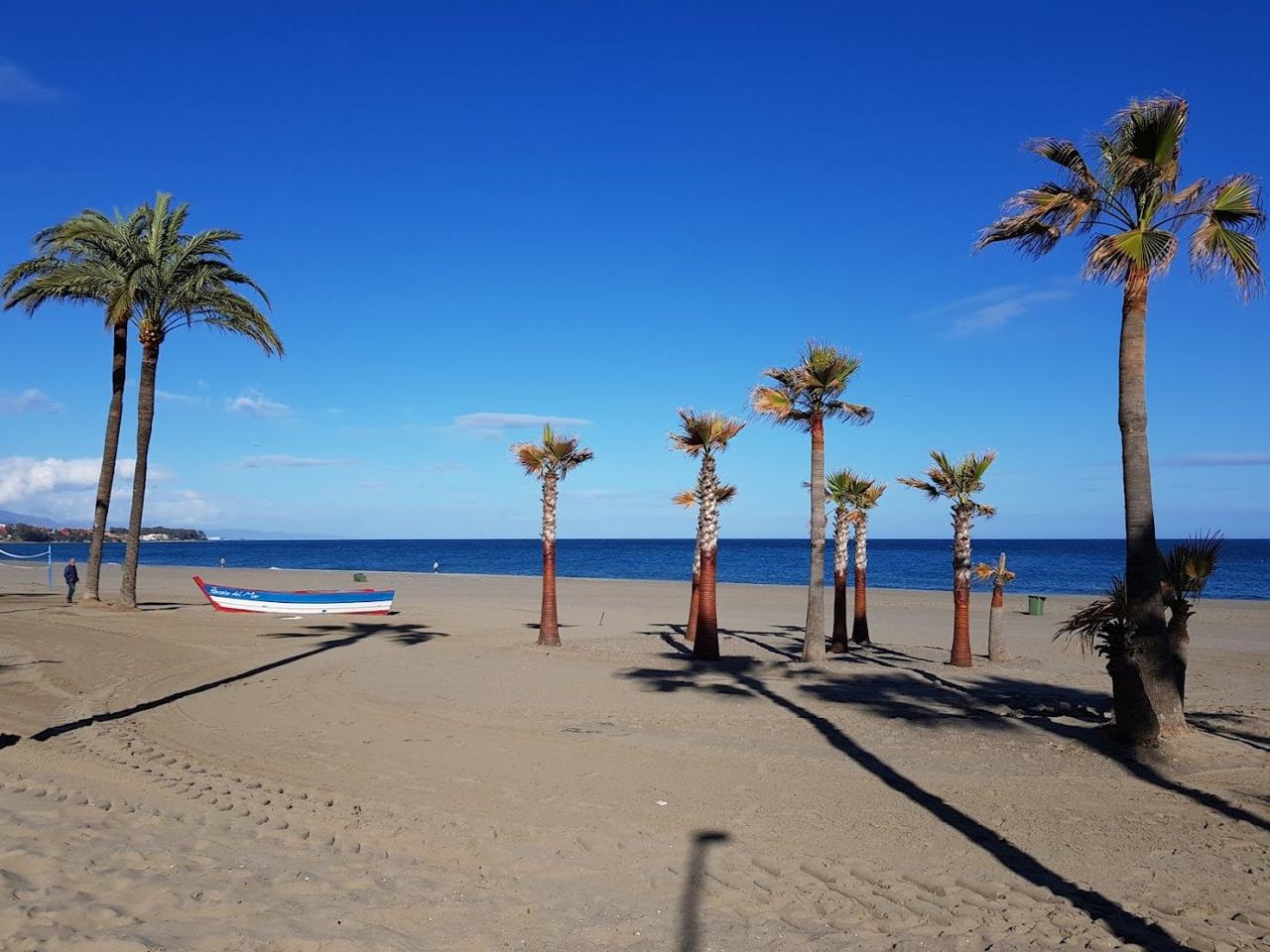 La Rada town beach and palm promenade in Estepona, Costa del Sol