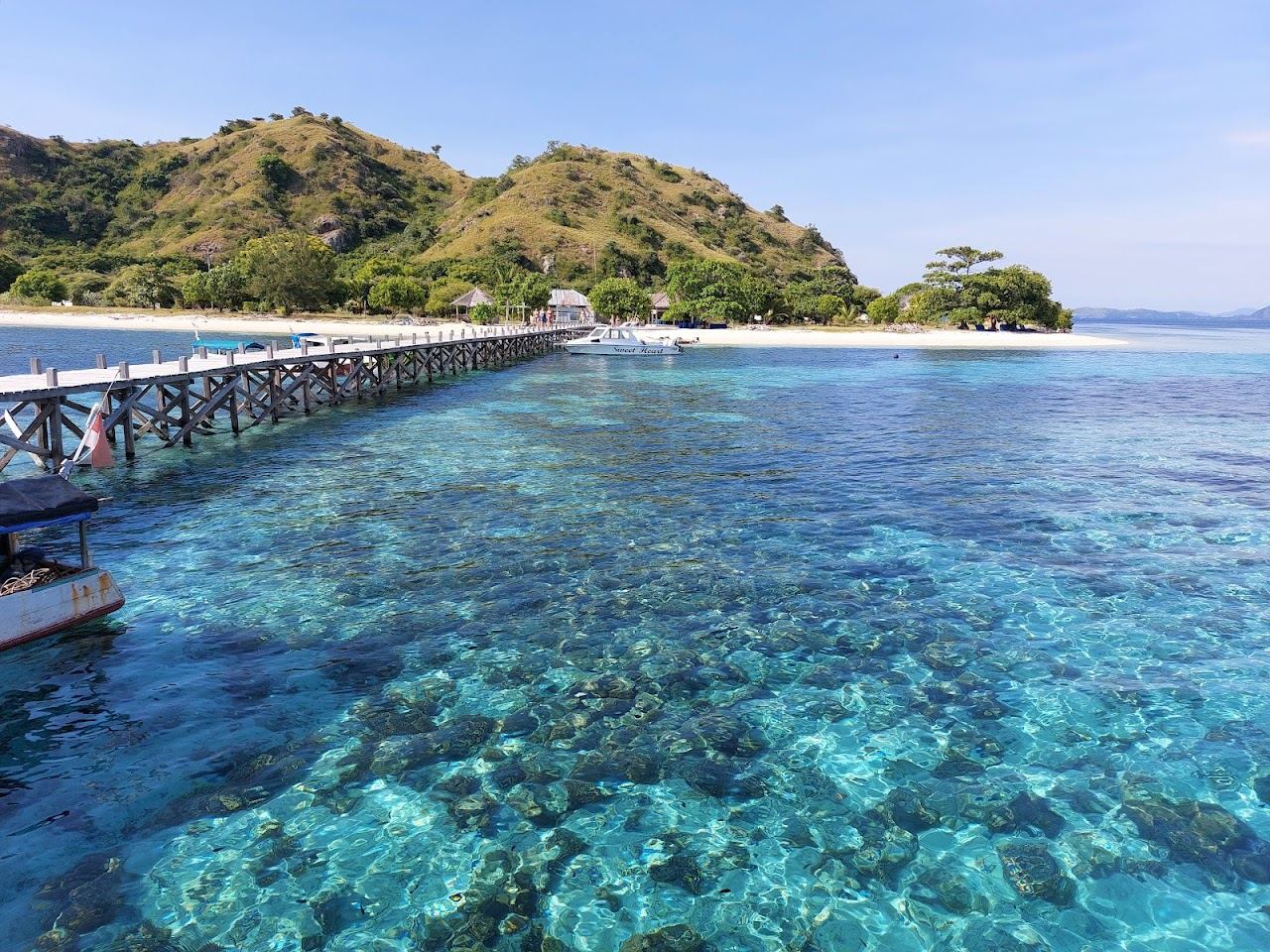 Snorkeler over a clear shallow reef off the white sand at Kanawa Island near Labuan Bajo