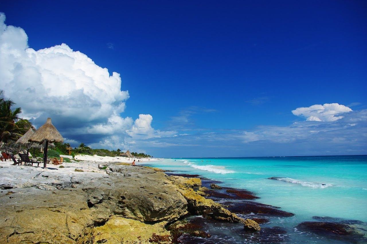 Open undeveloped sand and palms at the Las Palmas public access on the Tulum strip
