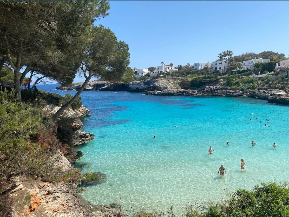 A sheltered turquoise cala framed by pines on the coast of Mallorca.