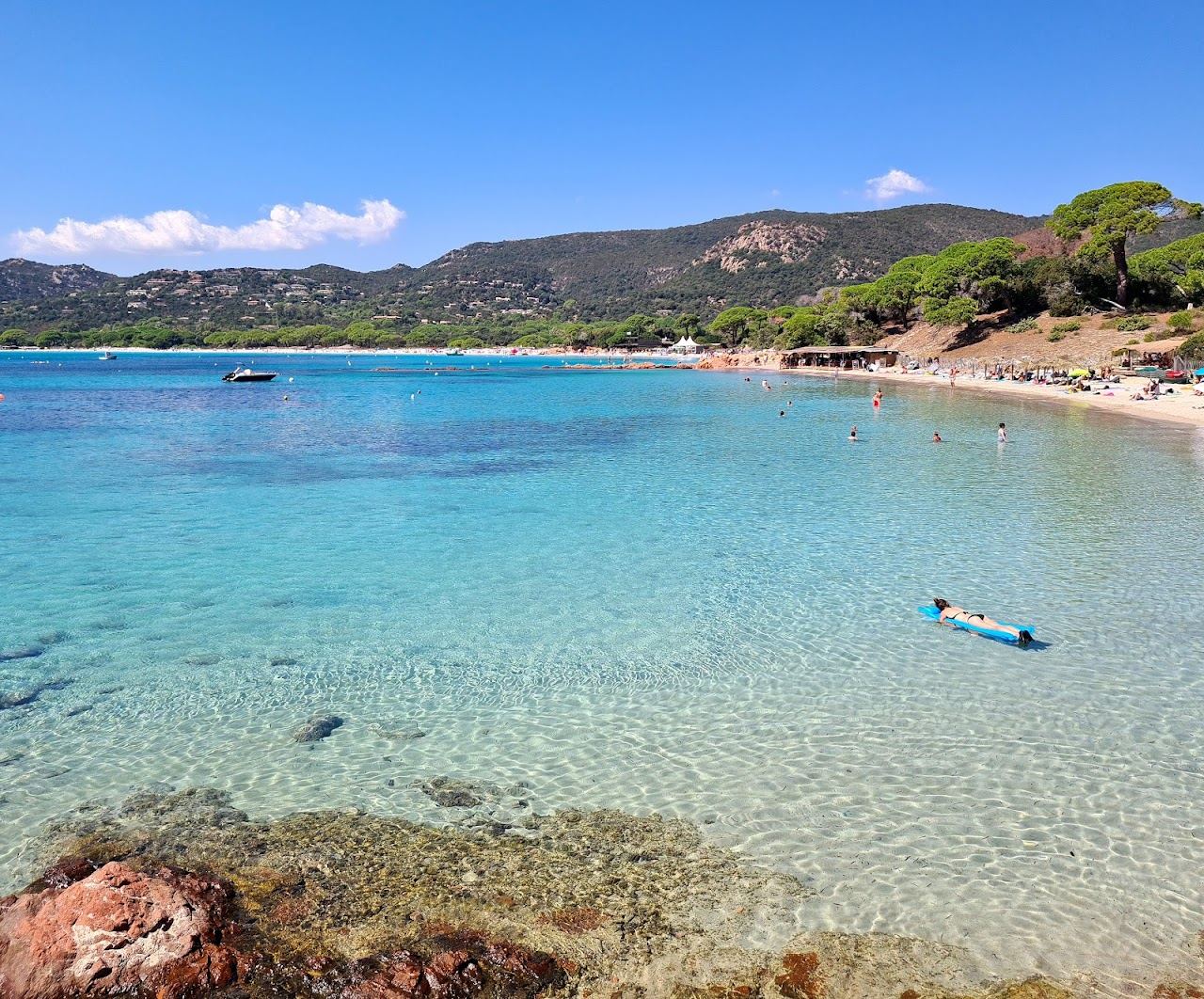 White sand, pines and clear shallow water on Palombaggia beach near Porto Vecchio
