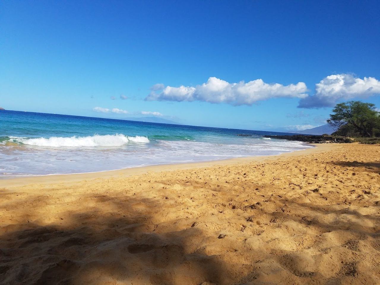 Little Beach Makena Maui a small sheltered golden cove backed by rock and green slopes with calm clear water