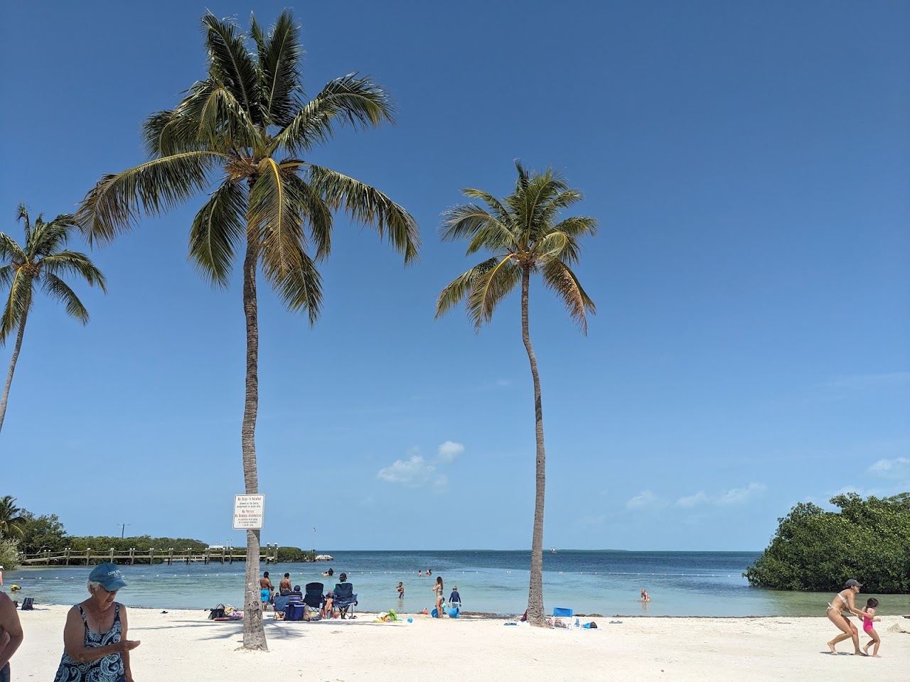Calm shallow water and sand at Founders Park beach in Islamorada near Lorelei