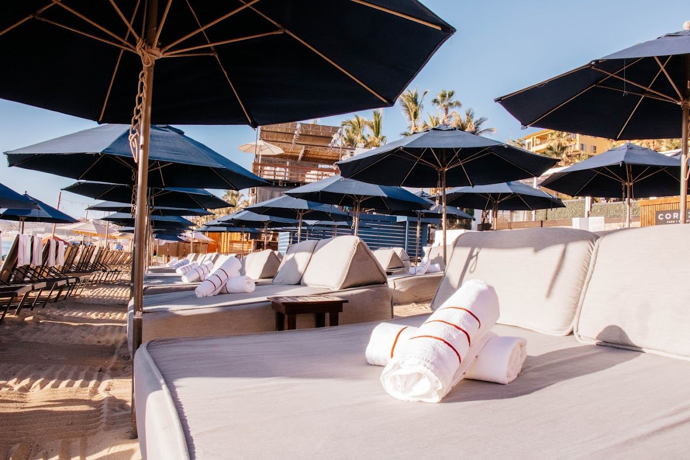 Beach beds and cabanas on Medano Beach at a Los Cabos beach club