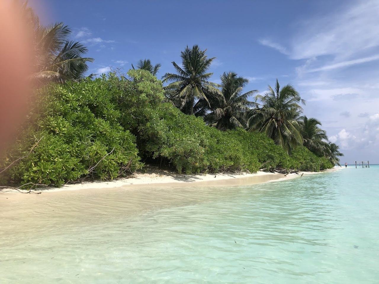 The soft bikini beach and clear shallow lagoon at Thoddoo in the Maldives