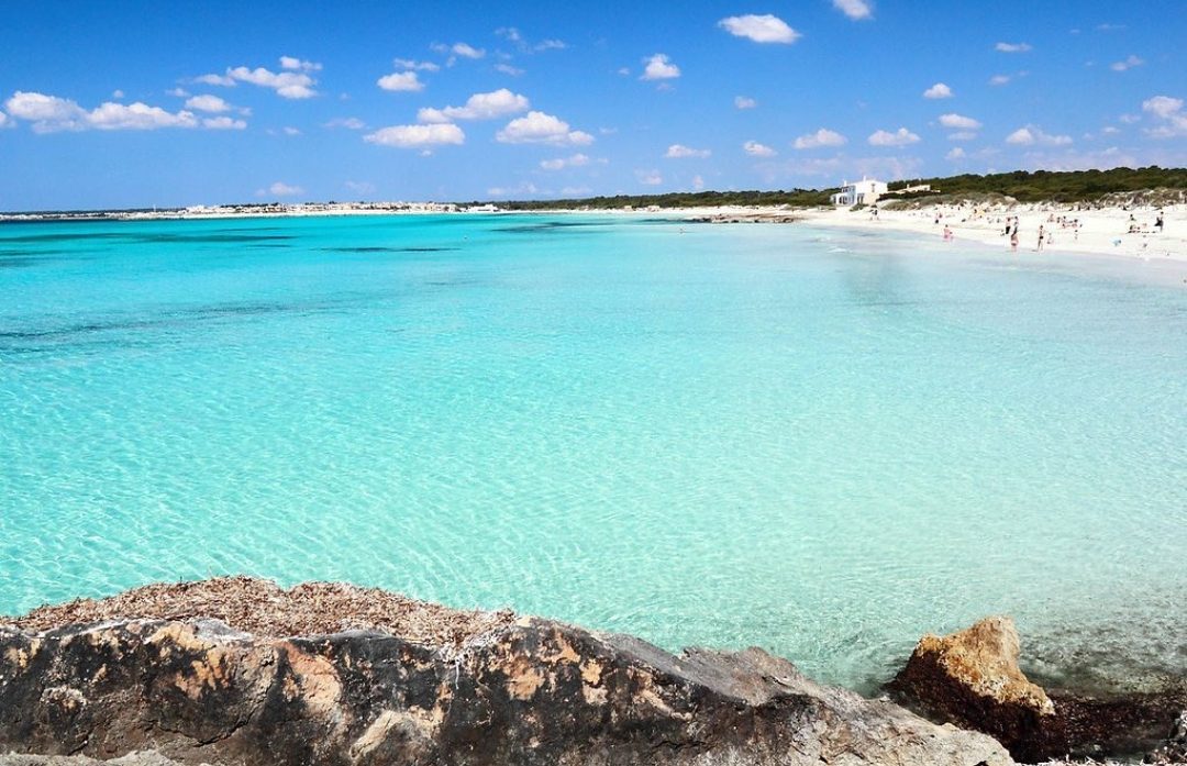 Turquoise cove and pale sand backed by pines on Mallorca in the Balearic Islands