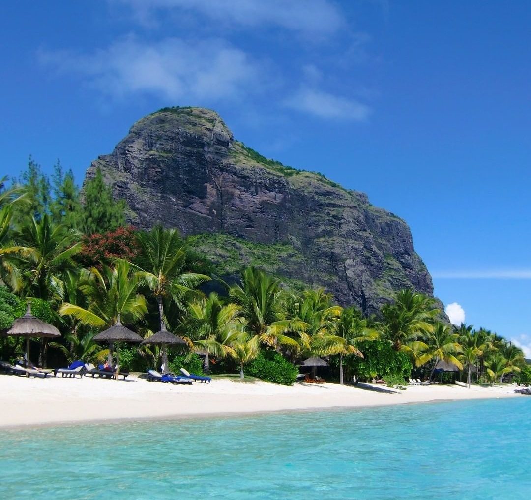 Calm reef protected lagoon and palms on a beach in Mauritius