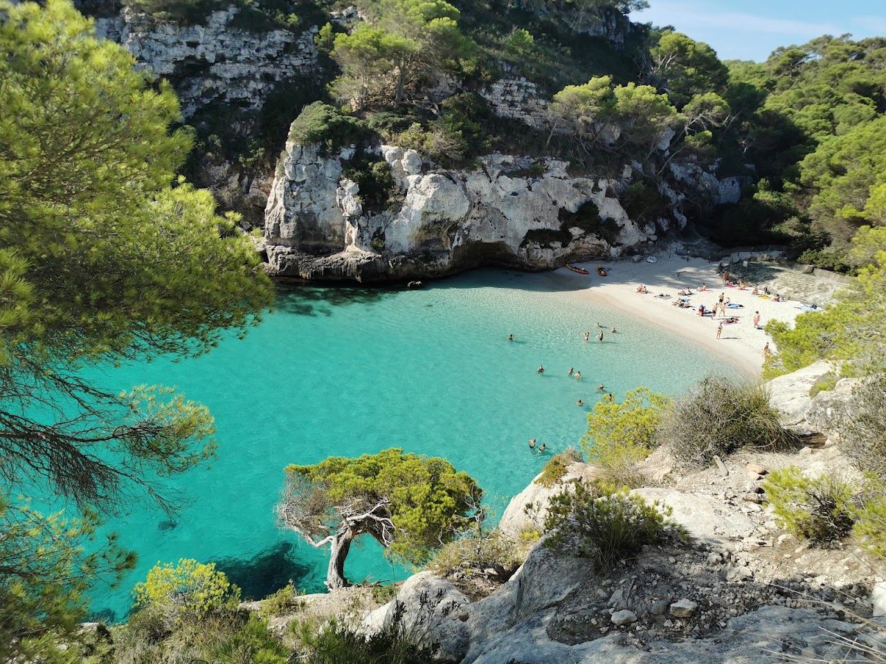Turquoise water and pale sand framed by pine cliffs at a Menorca cala