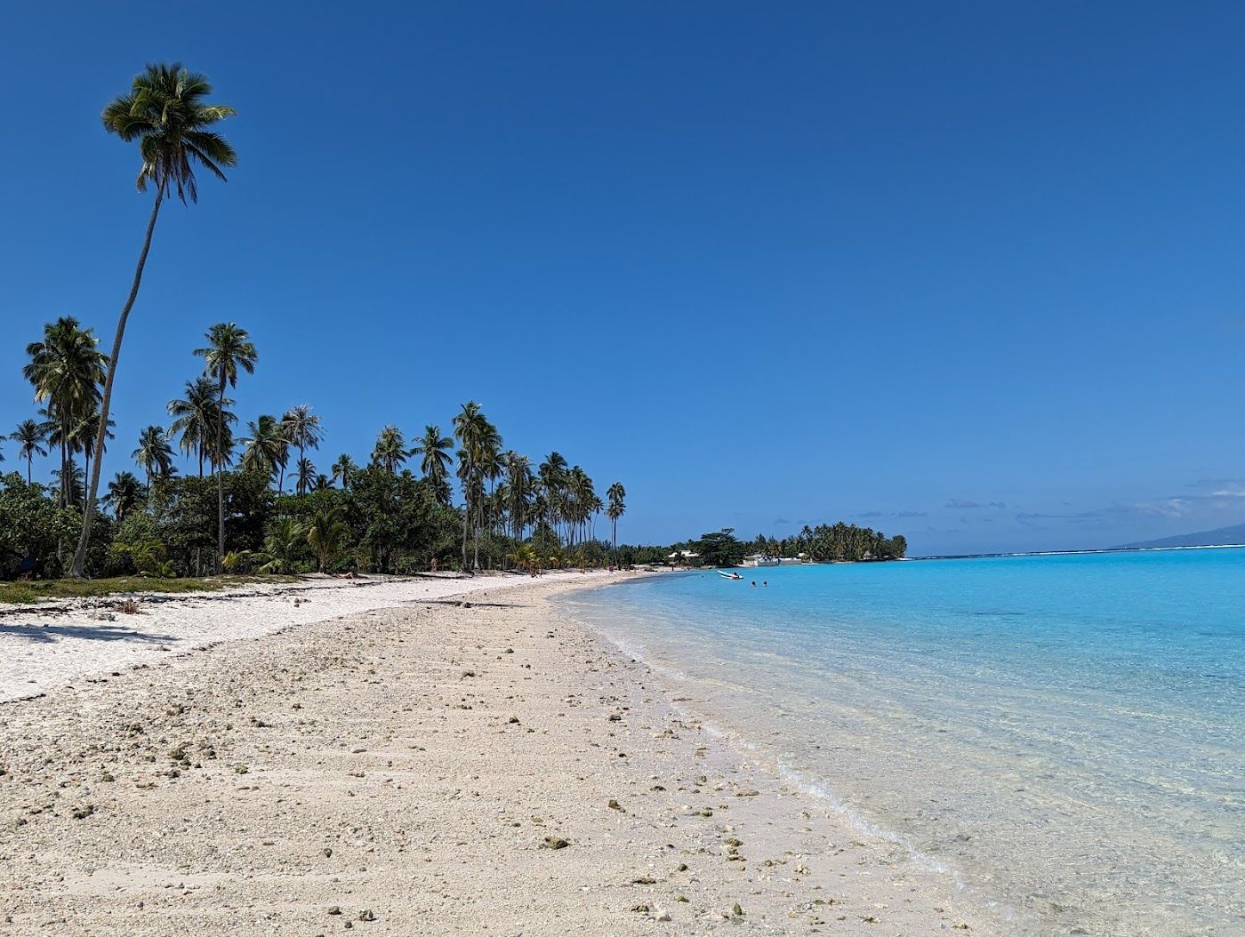 White sand and the clear turquoise lagoon at Temae public beach on Moorea in French Polynesia