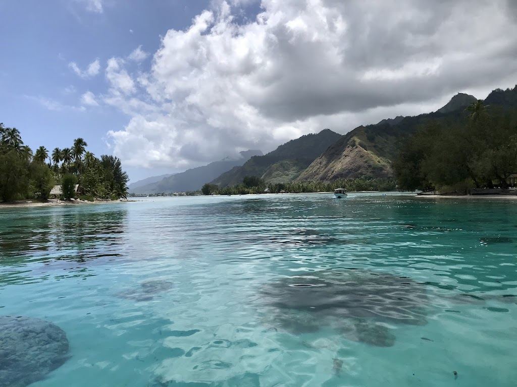 White coral sand and clear shallow lagoon water at Motu Fareone off Moorea
