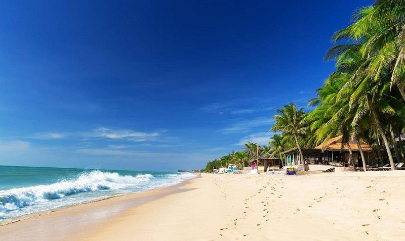 The long sweep of Mui Ne Beach and palms along the resort strip in Vietnam