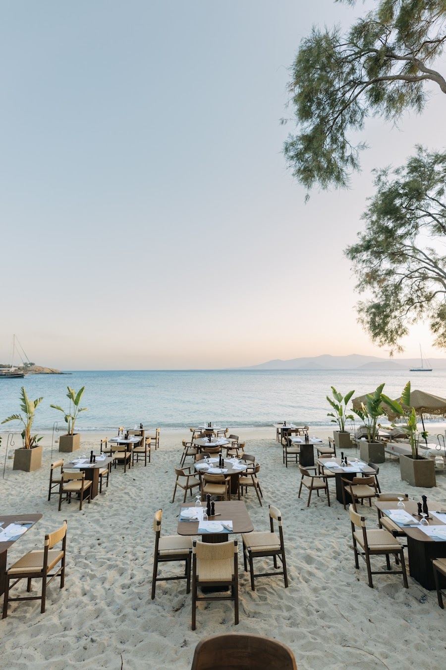 Loungers set out on the sand at Santana Beach Club with umbrellas above them