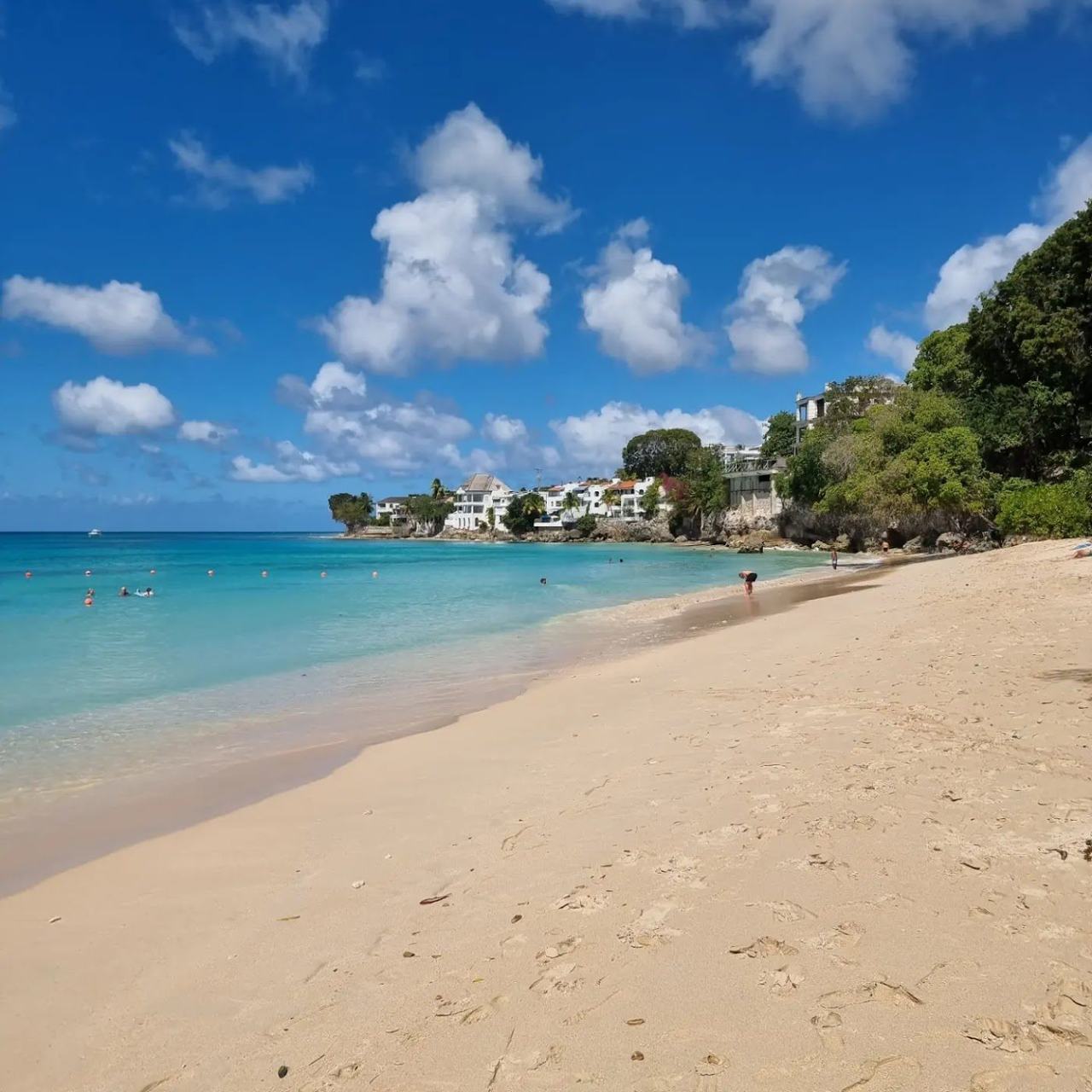 The Caribbean dry season is in full breezy swing, with warm sun and calm west coast swimming.