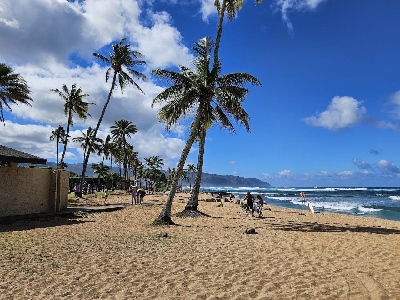 Sand, palms and calm water at Haleiwa Alii Beach Park on Oahu