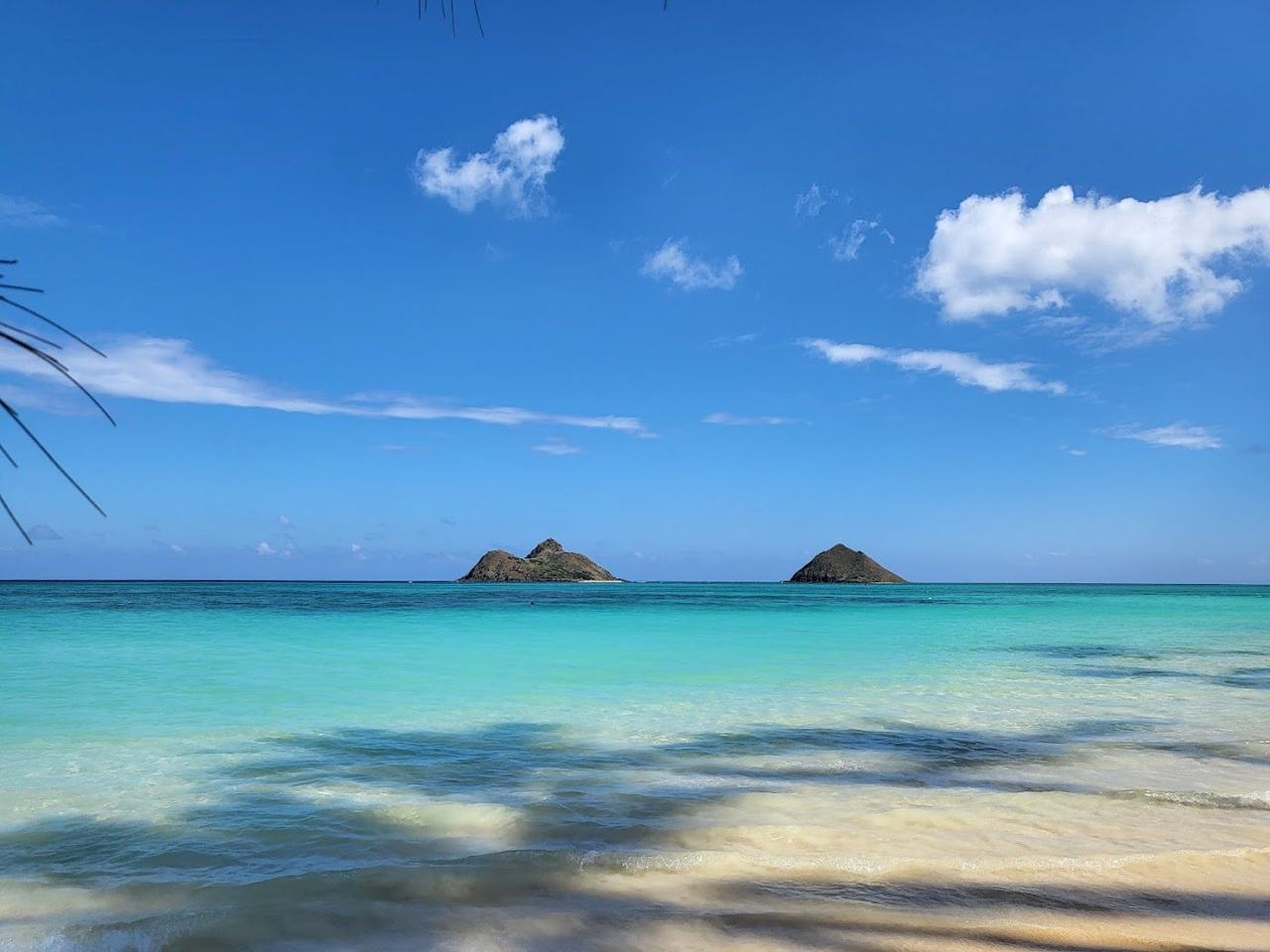 Waikiki Beach curving below the green hills of Oahu with calm water and high rises behind.