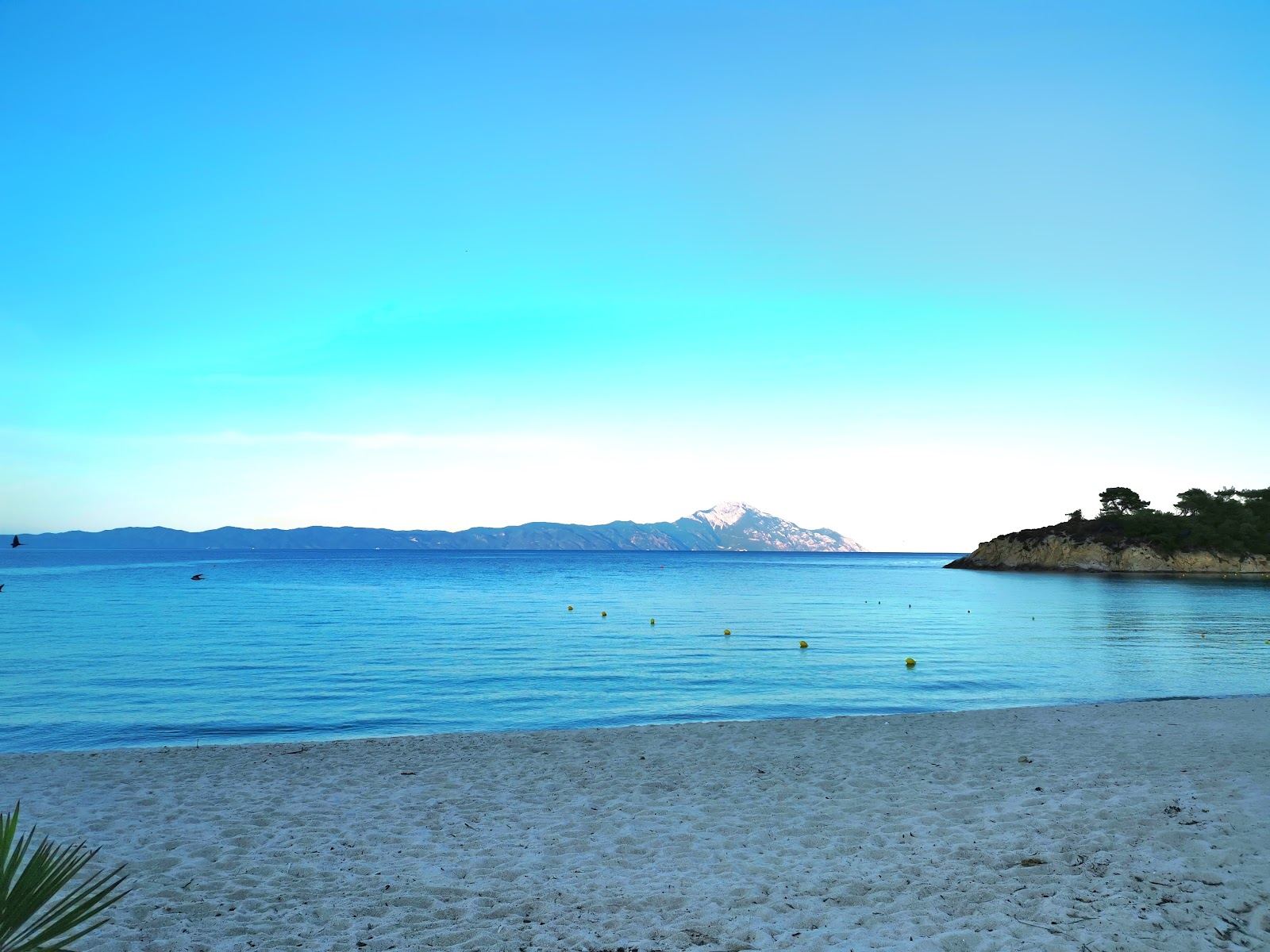 Turquoise water in a pine framed cove at Platanitsi beach near Sarti on Sithonia in Halkidiki
