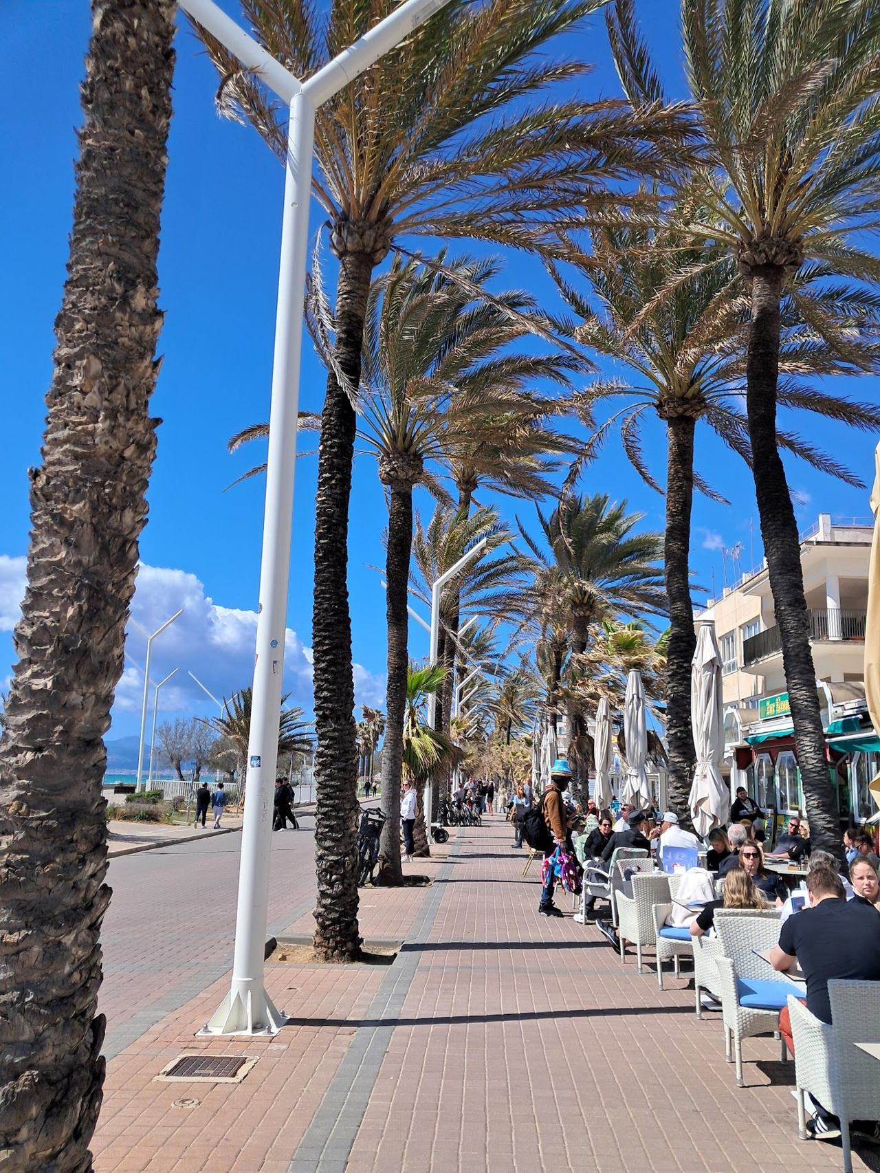 The long golden strand and shallow water of Playa de Palma stretching along the bay beside Palma in Mallorca