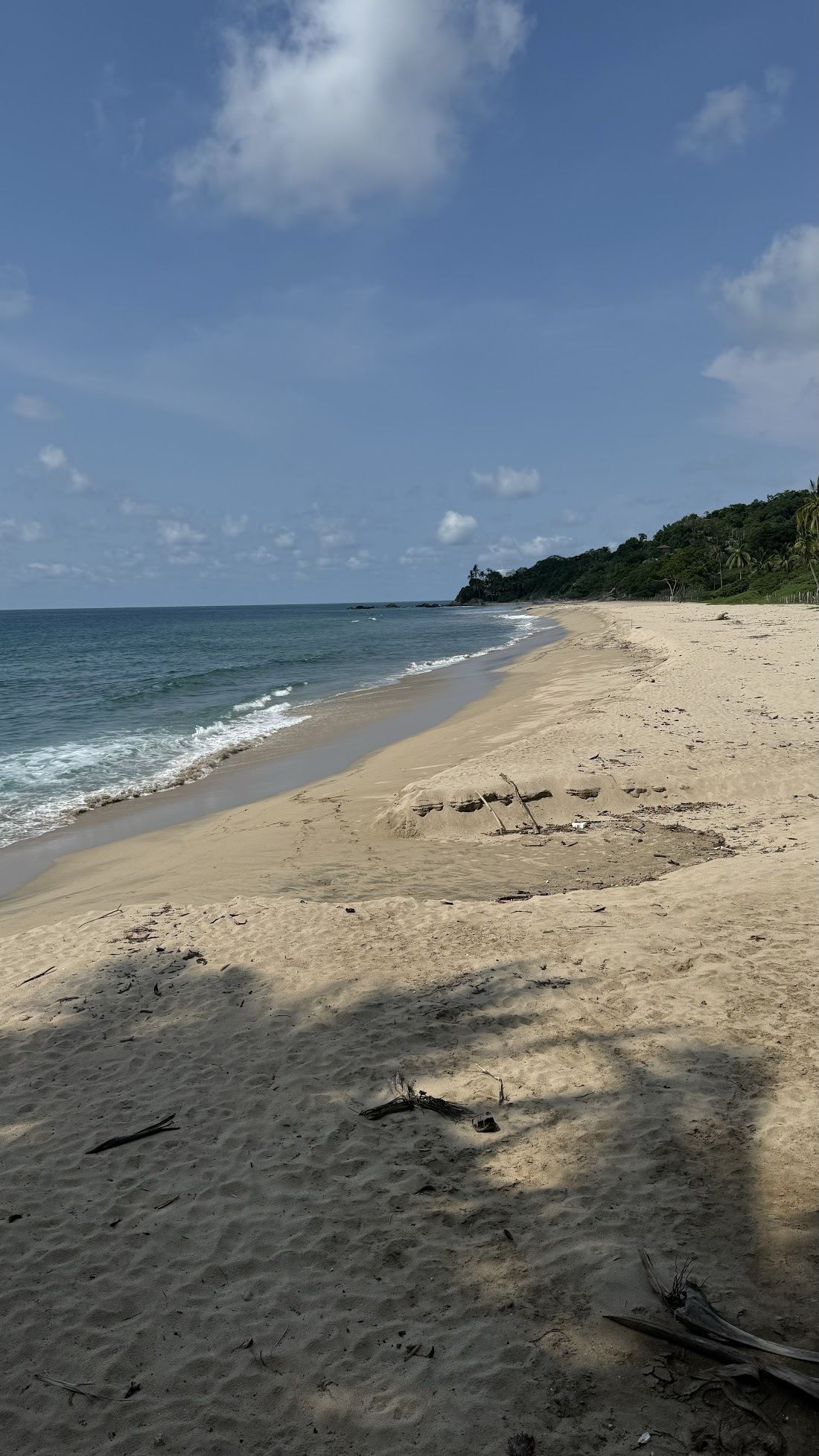 The wild dark and gold sand and open Pacific at Playa Patzcuarito near Sayulita