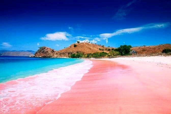 Lombok's quiet pink beach, calm and shallow with coral gardens just off the rose tinted sand.
