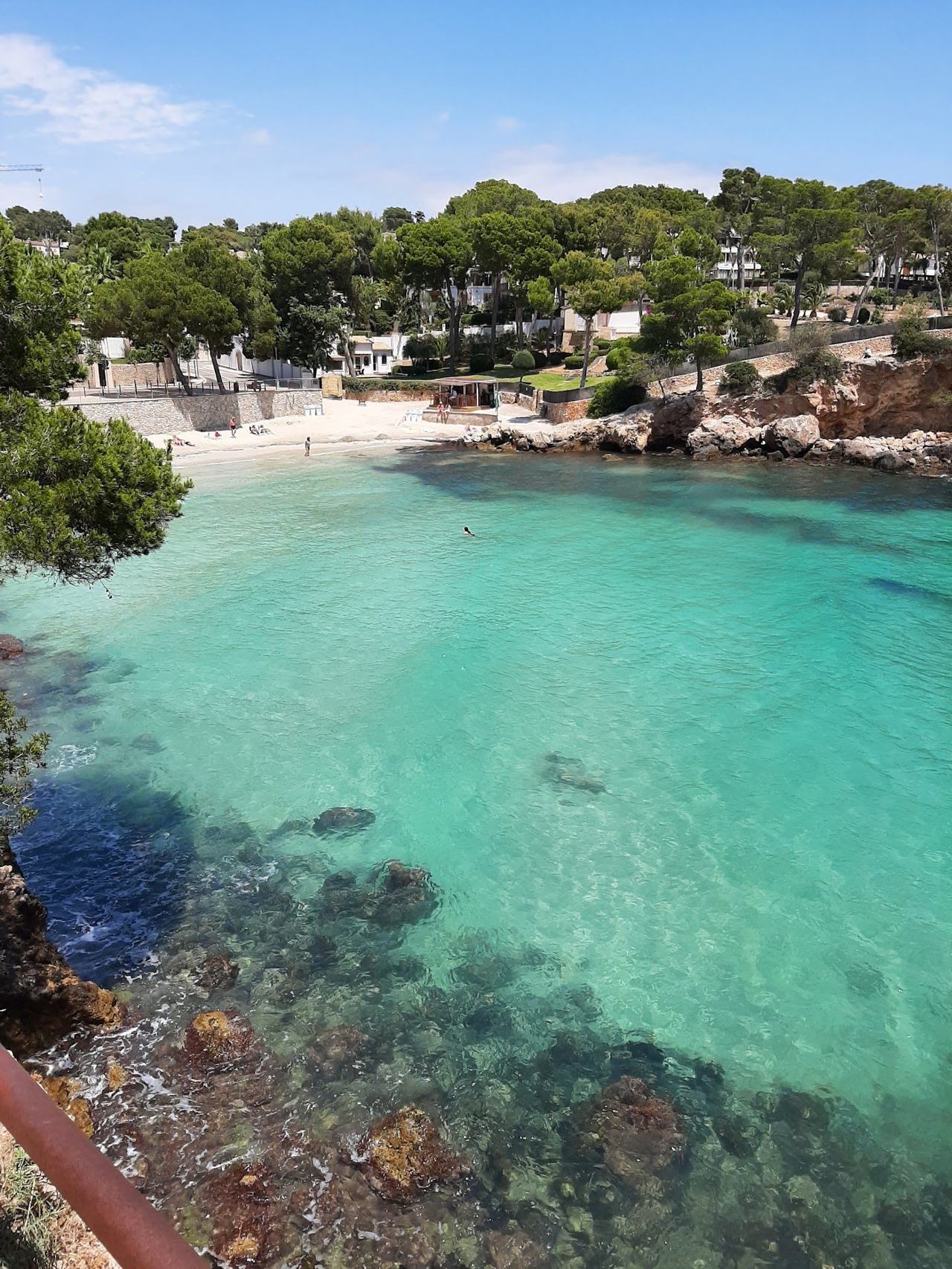 Portals Nous in Mallorca Spain