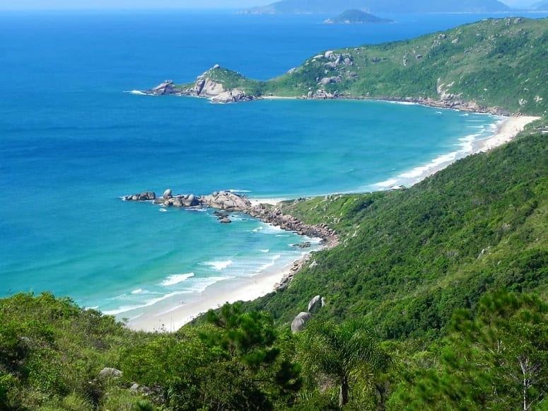 Green forested headland and clear surf above the wild sand at Praia da Galheta Florianopolis Brazil